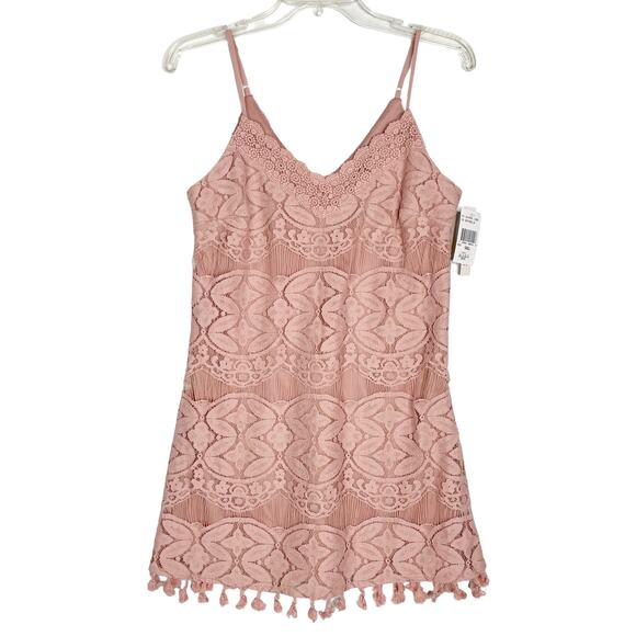 Xtraordinary Lace Shift Mini Dress Tassels Blush Pink Small NWT - Picture 4 of 10